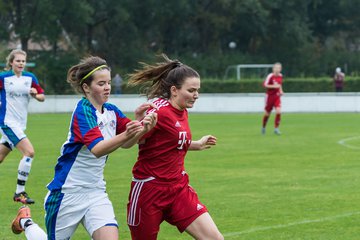 Bild 218 - B-Juniorinnen SV Henstedt Ulzburg - SV Wahlstedt : Ergebnis: 11:0